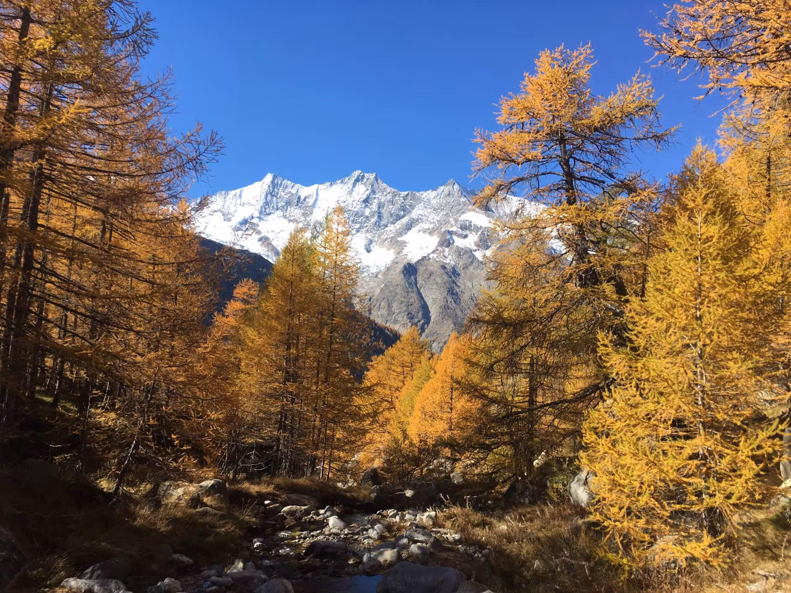 Autumn17.3