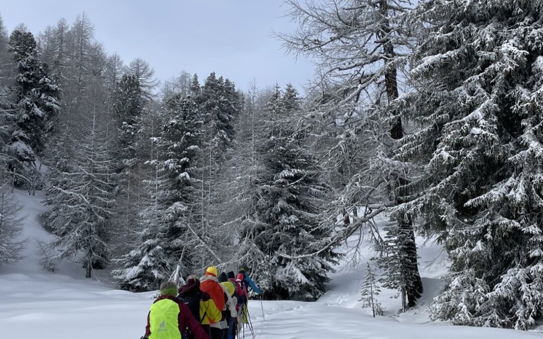 geführte Schneeschuhwandertage vom 2. – 6.2.2025